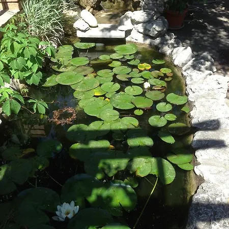 Complex Astra 호텔 써니비치