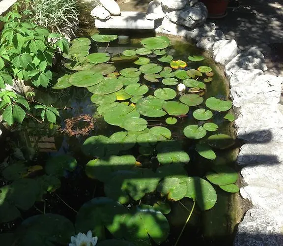 Complex Astra Hotel Slantchev Briag